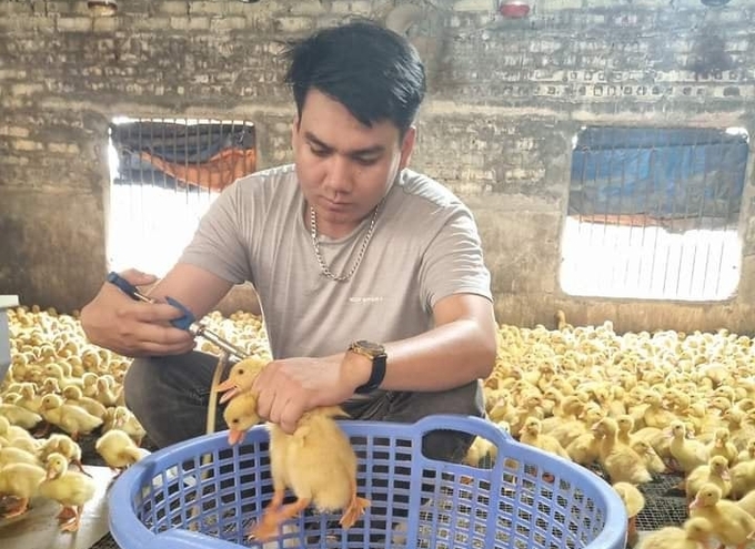 To effectively control animal diseases, especially avian influenza, Deputy Minister of Agriculture and Rural Development Phùng Đức Tiến suggests that localities prioritize organizing vaccination campaigns. Photo: Hong Tham.
