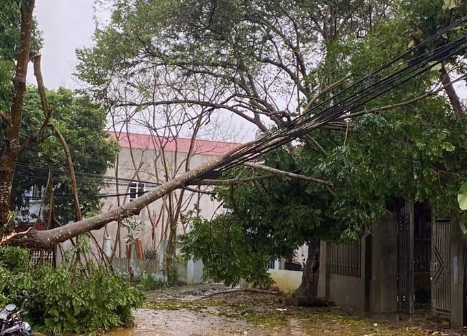 Một số ngôi nhà của người dân bị thiệt do gió lốc, cây đổ.