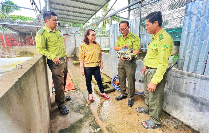 Những đợt kiểm tra định kỳ hoặc đột xuất sẽ giúp ngành kiểm lâm kịp thời phát hiện những thiếu sót, lỗ hổng trong công tác gây nuôi. Ảnh: Kim Anh.