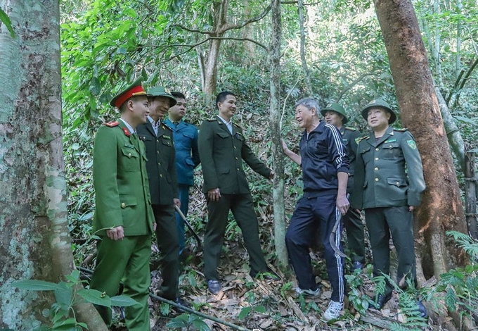 Công tác quản lý, bảo vệ và phát triển rừng tại Thái Nguyên còn gặp nhiều khó khăn. Ảnh: Quang Linh.