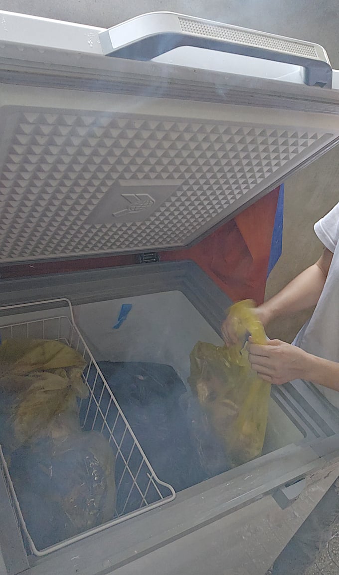 Three-compartment freezer in the corner of M.'s caging area containing plastic bags filled with various types of wildlife meat. Photo: Reporters.