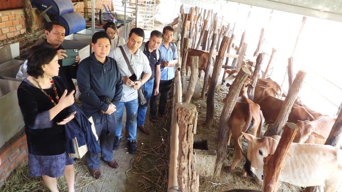Ông Sisawath Homdara (áo đen) cho rằng sau chuyến thăm, ngành nông nghiệp Lào sẽ có nhiều hoạt động xúc tiến đầu tư thương mại giữa 2 bên, giúp nền nông nghiệp phát triển thịnh vượng. Ảnh: Trần Trung.