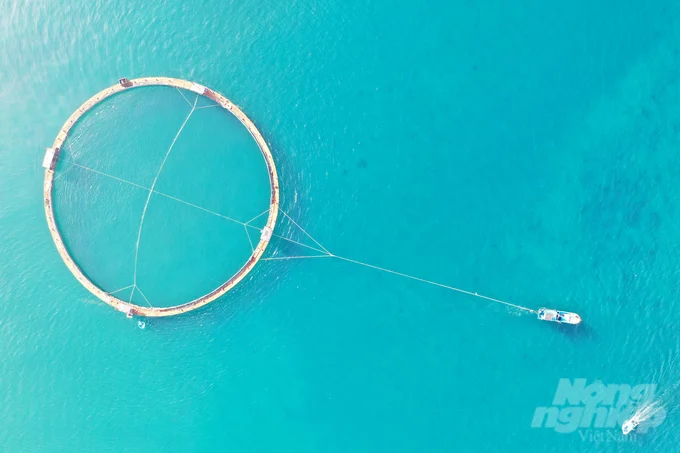 The largest floating cage, made of HDPE material and boasting a diameter exceeding 61.5 meters in Vietnam, was designed and constructed by Nguyen Ba Ngoc's East Sea Jumping Squid Company. Photo: Phuong Chi.