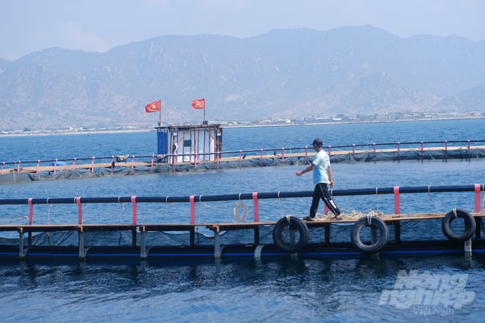 The largest farming raft in Vietnam, crafted from HDPE material, was conceived and constructed by Nguyen Ba Ngoc.