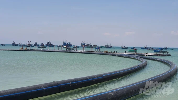 Although large-scale cages are nearing completion under Nguyen Ba Ngoc's guidance, they remain anchored ashore, awaiting the necessary policy support to take to the water. Photo: Hoang Anh.