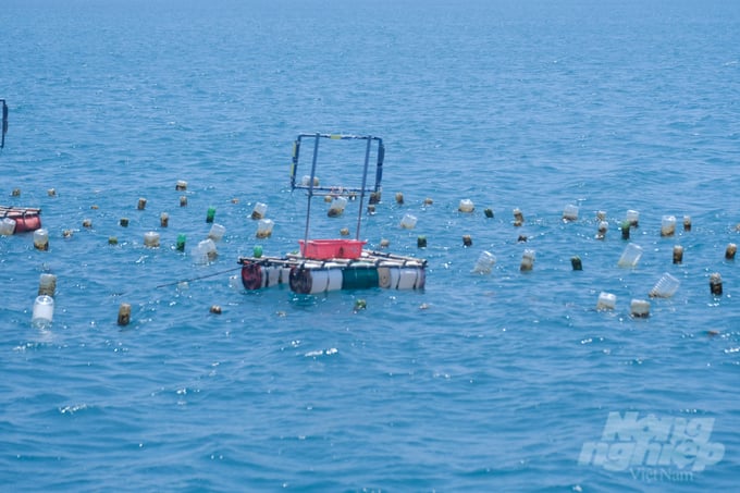 Models of near-shore exploitation and aquaculture in Ninh Thuan, like the one currently prevalent, are unsuitable for the burgeoning trend of offshore marine farming.