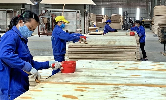 Sản xuất gỗ tại một công ty thuộc Khu công nghiệp Thanh Bình, huyện Chợ Mới, tỉnh Bắc Kạn.