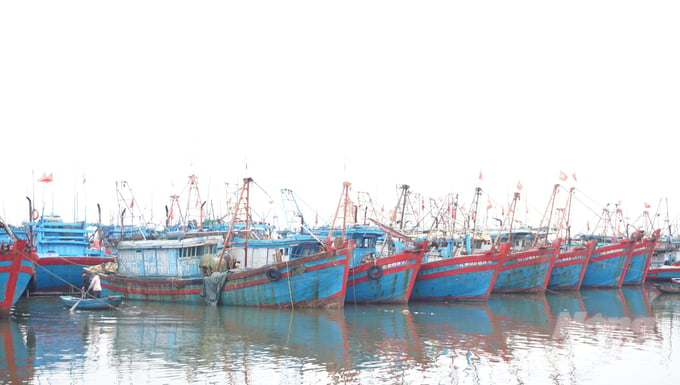 Tàu cá neo đậu tại cảng cá Hải Bình, thị xã Nghi Sơn. Ảnh: Quốc Toản.