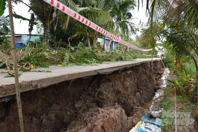 The subsidence situation is causing many difficulties for Ca Mau province. Photo: Kim Anh.
