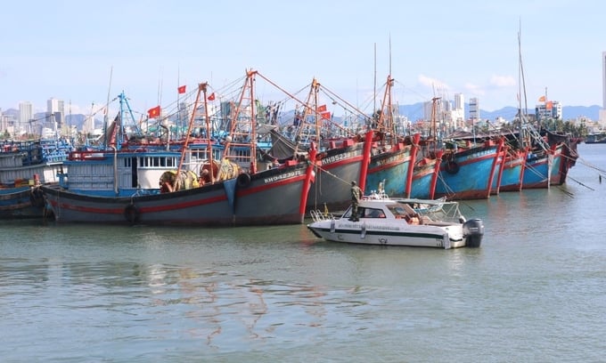 Khanh Hoa province is closely monitoring the fishing fleet. Photo: KS.