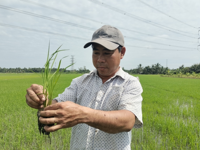 Tín chỉ carbon được tạo ra với ý tưởng tạo động lực tài chính giảm phát thải khí nhà kính và thúc đẩy phát triển bền vững. Ảnh: Minh Đảm.