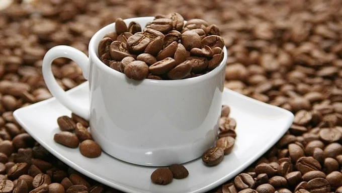 Update on the latest domestic and world coffee prices on 03/29/2024