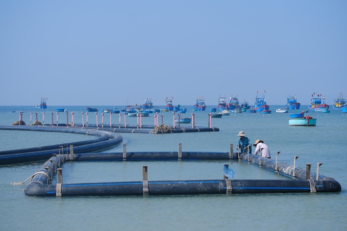 Ninh Thuận có tiềm năng, lợi thế nuôi biển rất lớn nhưng hiện đang gặp nhiều rào cản, vướng mắc. Ảnh: Hoàng Anh.
