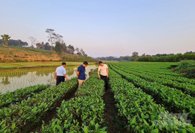 Năm 2024, huyện Phú Lương sẽ về đích nông thôn mới, trước 1 năm so với mục tiêu đề ra. Ảnh: Đào Thanh.