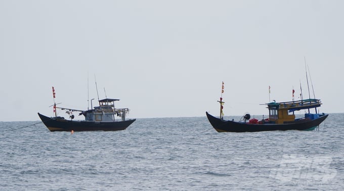 Putting an end to the situation of fishing vessels violating foreign waters is the top priority task of Ba Ria-Vung Tau, contributing to the whole country removing the 'yellow card' of the European Commission. Photo: Le Binh.