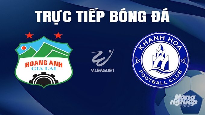 Trực tiếp bóng đá V-League 2023/24 giữa HAGL vs Khánh Hòa hôm nay 30/3/2024