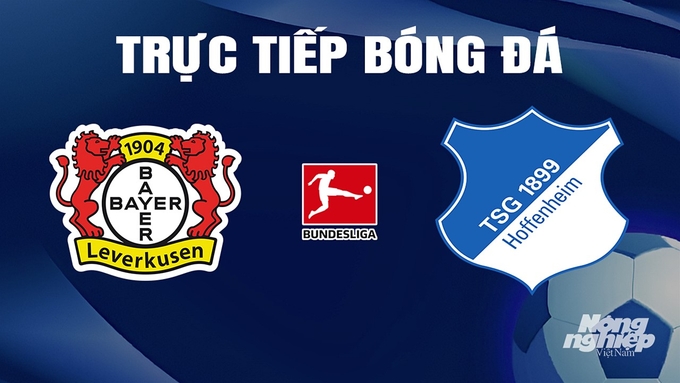 Trực tiếp bóng đá Bundesliga 2023/24 giữa Bayer Leverkusen vs Hoffenheim hôm nay 30/3/2024