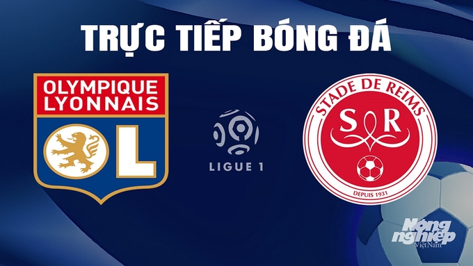 Trực tiếp bóng đá Ligue 1 (VĐQG Pháp) 2023/24 giữa Lyon vs Reims ngày 31/3/2024