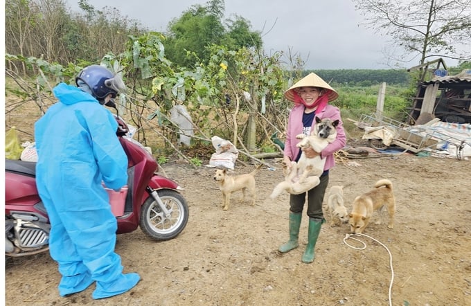 The local residents have voluntarily restrained their dogs for rabies vaccination. Photo: T. Phung.
