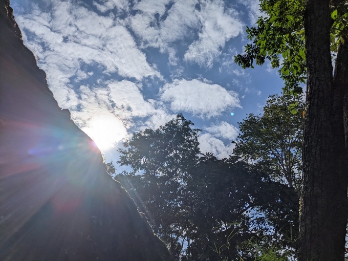 Một góc rừng cây cổ thụ thuộc Vườn Quốc gia Yok Đôn (tỉnh Đăk Lăk), có tổng diện tích 115.545ha, với hệ sinh thái đặc trưng rừng khộp, được các chuyên gia đánh giá có tài nguyên rừng rất phong phú và đa dạng. Ảnh: Kim Long.