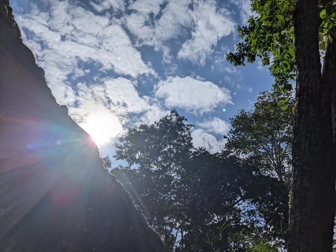 A corner of ancient tree forest in Yok Don National Park (Dak Lak province), with a total area of 115,545 hectares and a typical dipterocarp ecosystem that is assessed to have very rich and diverse forest resources by experts. Photo: Kim Long.