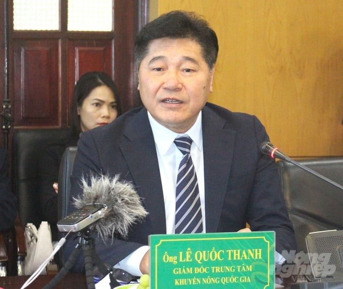According to Mr. Le Quoc Thanh, Director of the National Agricultural Extension Center, agricultural extension forces are always ready to accompany businesses in improving the capacity of farmers. Photo: Trung Quan.