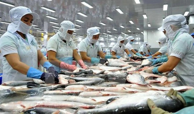 Vietnamese pangasius is subject to many objective impacts, affecting exports in 2023.