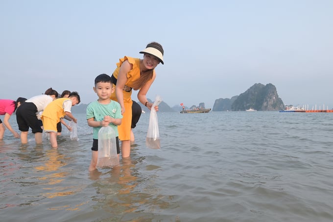 Người dân Quảng Ninh tham gia thả giống tôm, cá xuống biển. Ảnh: Tùng Đinh.