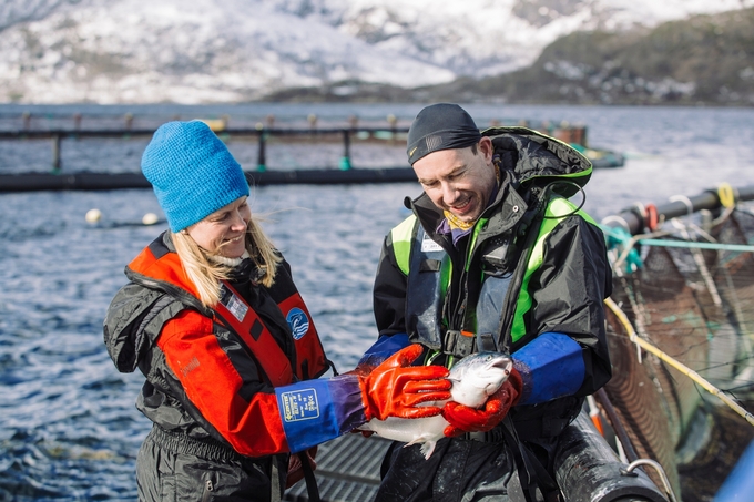 Norwegian aquaculture particularly salmon farming is possibly the world’s greatest success story in sustainable marine fish farming. Photo: NSC.
