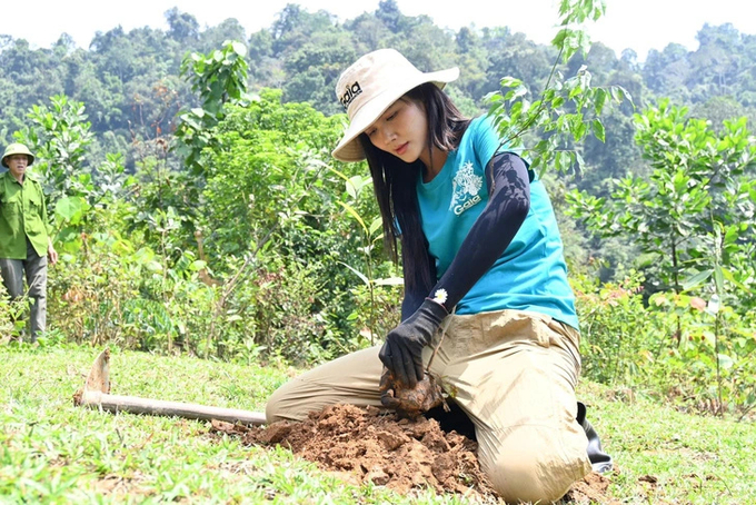 H'Hen Nie hoeed the land and planted new ironwood trees herself.