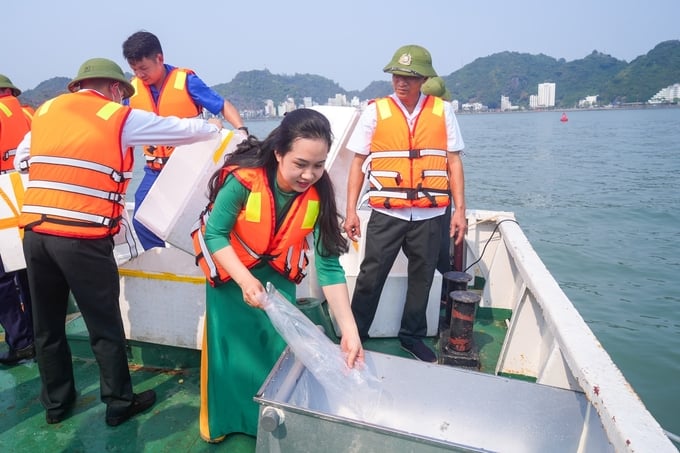 Representatives from departments, sectors, and relevant units enthusiastically participated in releasing the fish fries. Photo: Dinh Muoi.
