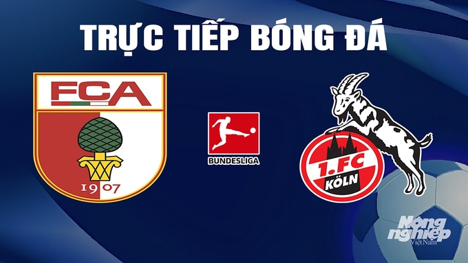 Trực tiếp bóng đá Bundesliga 2023/24 giữa Augsburg vs Koln hôm nay 31/3/2024