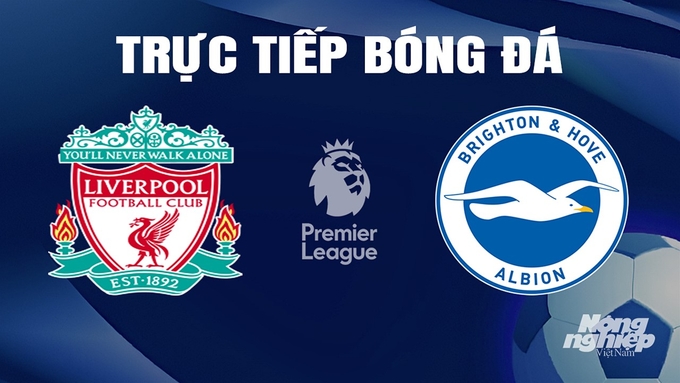 Trực tiếp bóng đá Ngoại hạng Anh giữa Liverpool vs Brighton hôm nay 31/3/2024