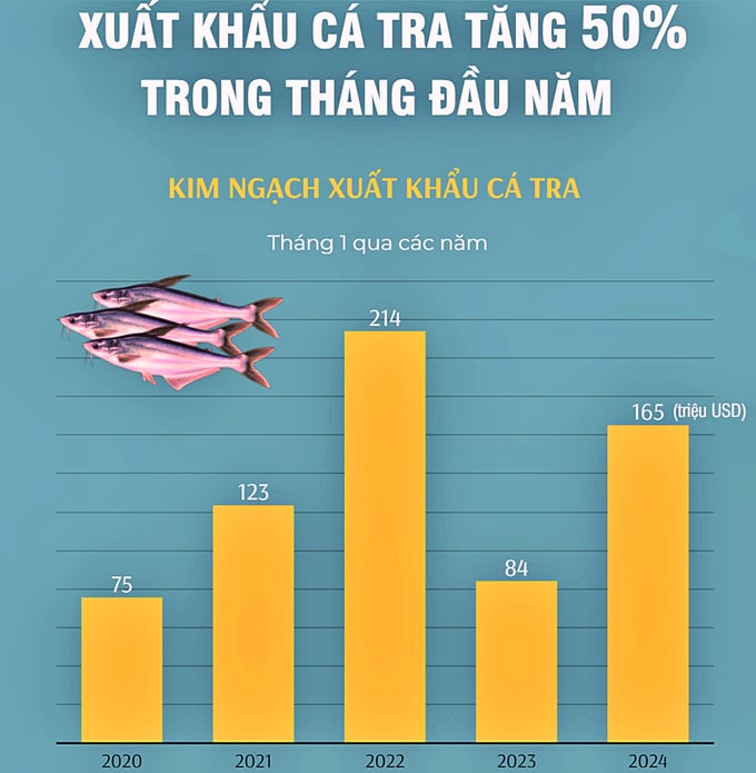 Xuất khẩu cá tra trong tháng 1, theo số liệu tổng hợp 5 năm gần nhất. Ảnh: TTXVN.