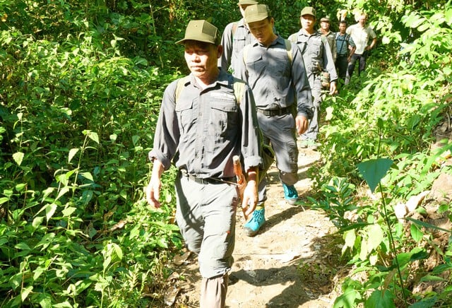 Forest protection and development create a solid foundation for Vietnam's carbon credit market. Photo: VGP.