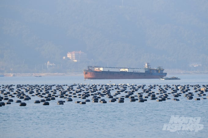 Quang Ninh prohibits speculation on mariculture areas. Photo: Kien Trung.