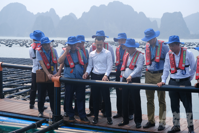 Bộ trưởng Lê Minh Hoan cùng Chủ tịch UBND tỉnh Quảng Ninh Cao Tường Huy thăm mô hình nuôi biển trên biển Vân Đồn. Ảnh: Kiên Trung.