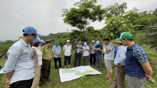 Delegates visited a forest planted with VARS funds in Tuyen Hoa. Photo: VGP.