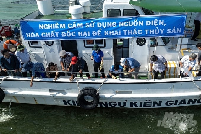 Huyện Kiên Lương đã vận động các tổ chức, cá nhân thả trên 1,4 triệu con giống thủy sản về vùng biển tự nhiên nhằm tái tạo nguồn lợi. Ảnh: Trung Chánh.