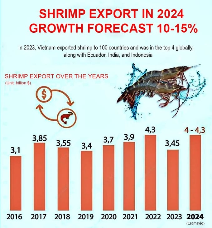 Shrimp exports in 2024 could repeat the 2022 record at US$ 4.3 billion. Photo: VNA.