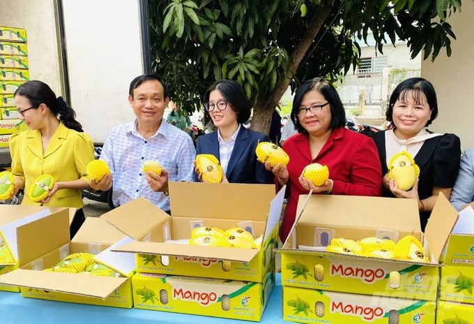 The shipment of mangoes exported this time is 18 tons of Keo mangoes to the South Korean market, for which Long Binh Agricultural Cooperative signed for consumption with Hoang Phat Fruit Co., Ltd. Photo: Le Hoang Vu.