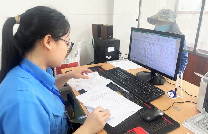 Early establishing the Steering Committee and assigning specific tasks to each force and each locality have improved the effectiveness and efficiency of the fight against IUU fishing in Ha Tinh. Photo: Thanh Nga.