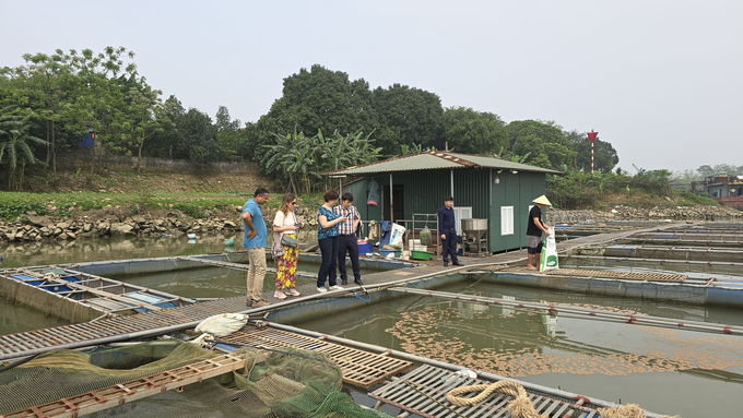 Trưởng Cơ quan Thú y Pháp cùng Đoàn công tác thăm trại nuôi thủy sản trong lồng bè trên sông Hồng. 