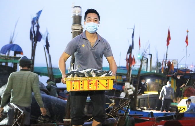 Along with the drastic action of the functional sector, fishermen's awareness of compliance with legal regulations needs to be further enhanced. Photo: Thanh Nga.