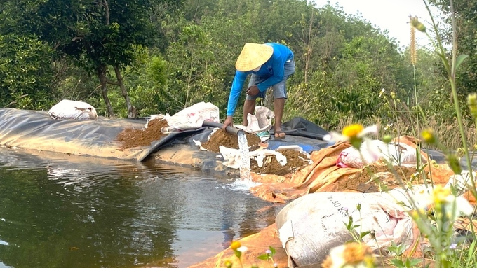 Anh Mai Hiền Huy đầu tư các ao lớn để tích trữ nguồn nước tưới trong cả mùa khô. Ảnh: Trần Trung.