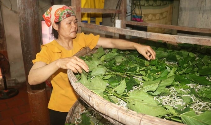 Nghề trồng dâu nuôi tằm ở xã Khánh Sơn (Nam Đàn, Nghệ An) đã giúp nông dân nơi đây có thu nhập khá và ổn định từ chính đồng đất khó khăn về nước tưới. nong duoc viet nam