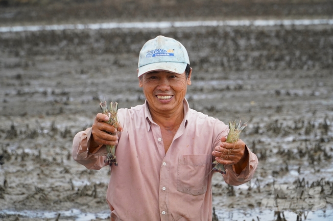 Nông dân Nhan Văn Dũng một trong những hộ dân đang phát triển và khá thành công với mô hình tôm – lúa ở huyện Trần Văn Thời. Ảnh: Kim Anh.