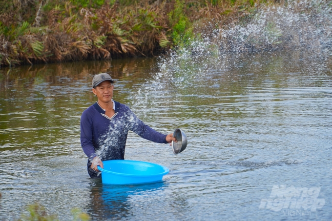 Farmers apply microbial products to improve ponds and limit diseases in shrimp during farming. Photo: Kim Anh.