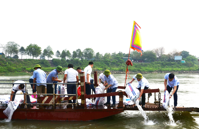 Các đại biểu và đông đảo nhân dân Bắc Ninh thả 55.500 con cá giống nước ngọt xuống lưu vực sông Đuống. 