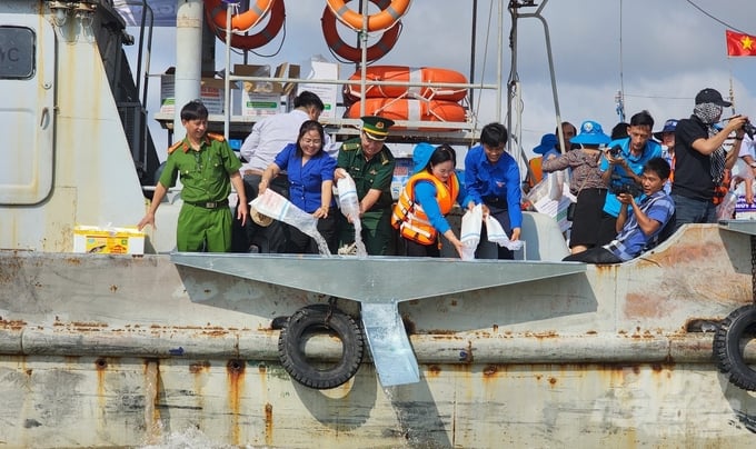 Over two million shrimp seeds have been released into the natural environment. Photo: Kim Anh.